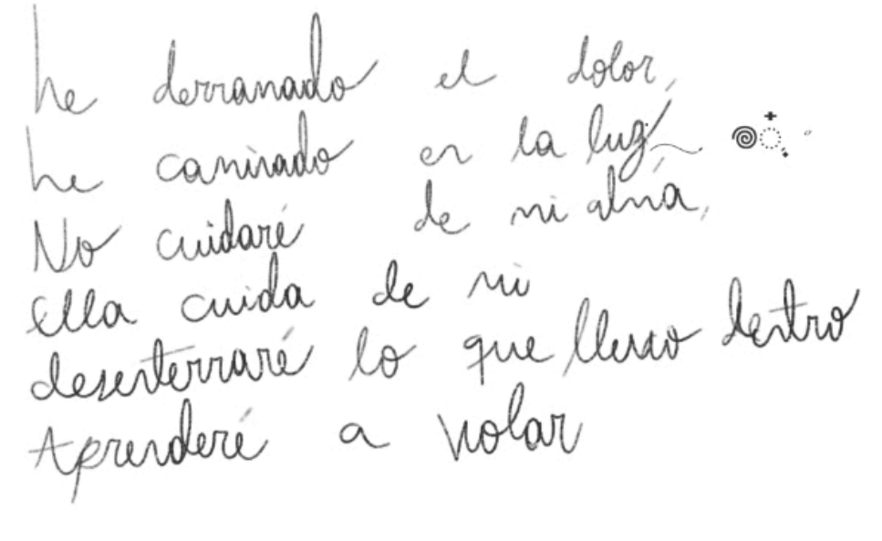 Imagen o video del manifiesto